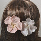 the flowers bloom. the flowers bloom.